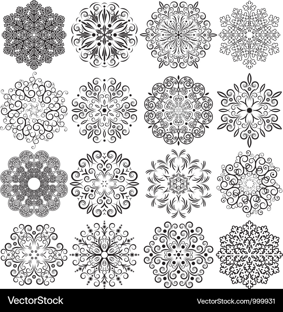 Ornate Floral Swirls vector image