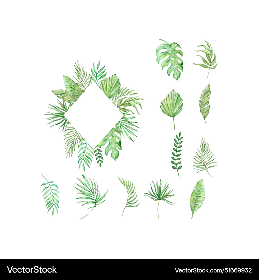 Tropical Watercolor Leaf Frame Vector Image