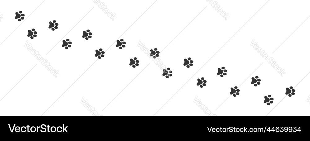 Muddy Paw Prints - Animals Vector Image