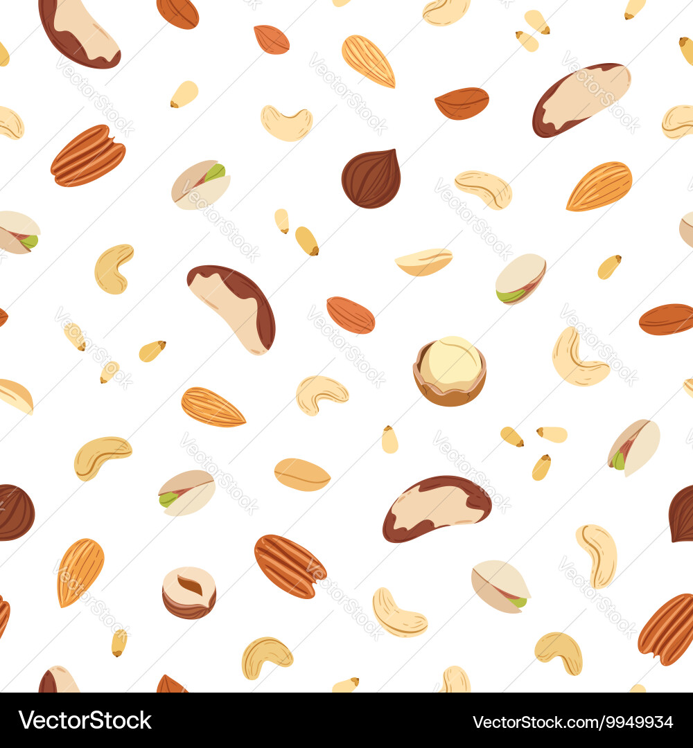 Nut Pattern - Diverse Nuts vector image