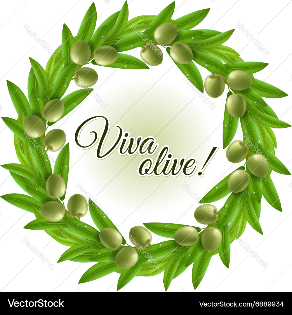 Olive wreath Royalty Free Vector Image - VectorStock