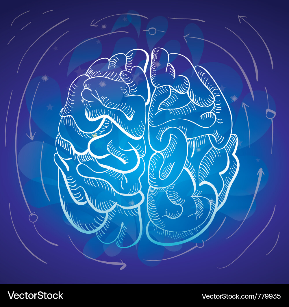 Brain with Creative Concepts Vector Image