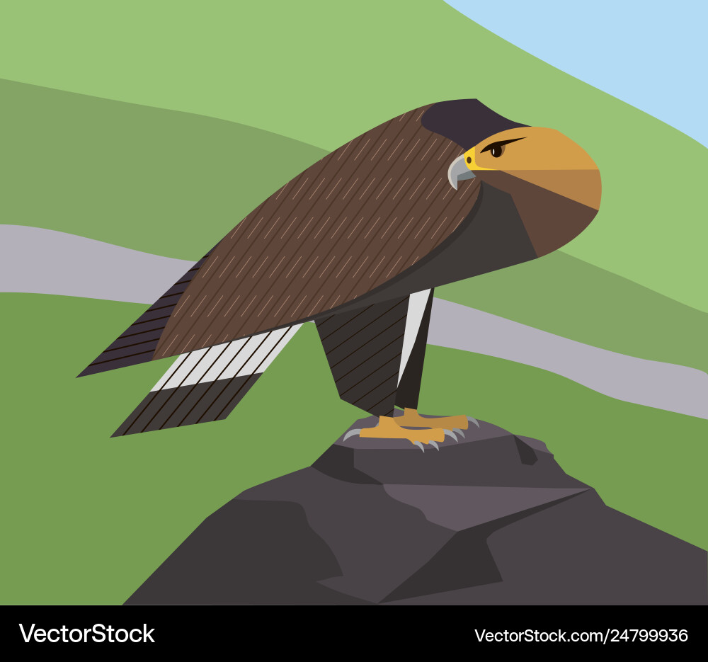Golden eagle Royalty Free Vector Image - VectorStock