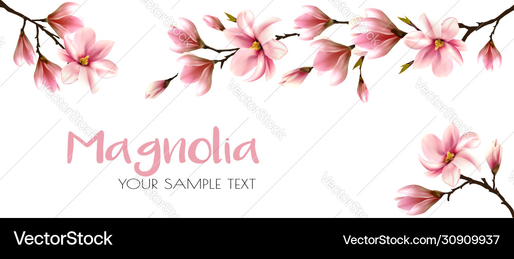 Abstract spring background with beautiful Vector Image
