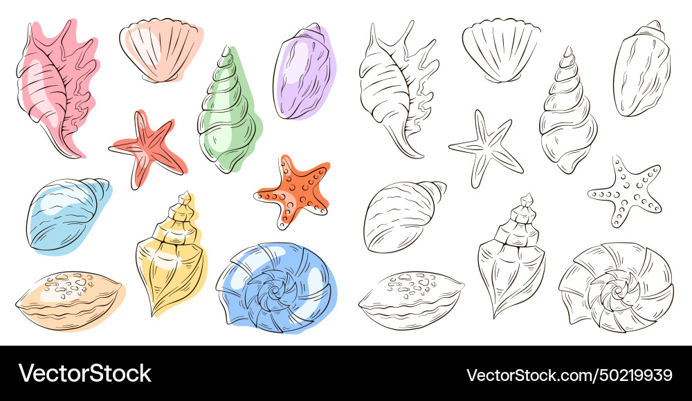 Set of seashell in line art style undersea shells Set of seashell in line art style undersea shells Vector Image