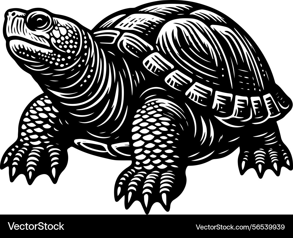 Simple gopher tortoise side view icon vintage Vector Image