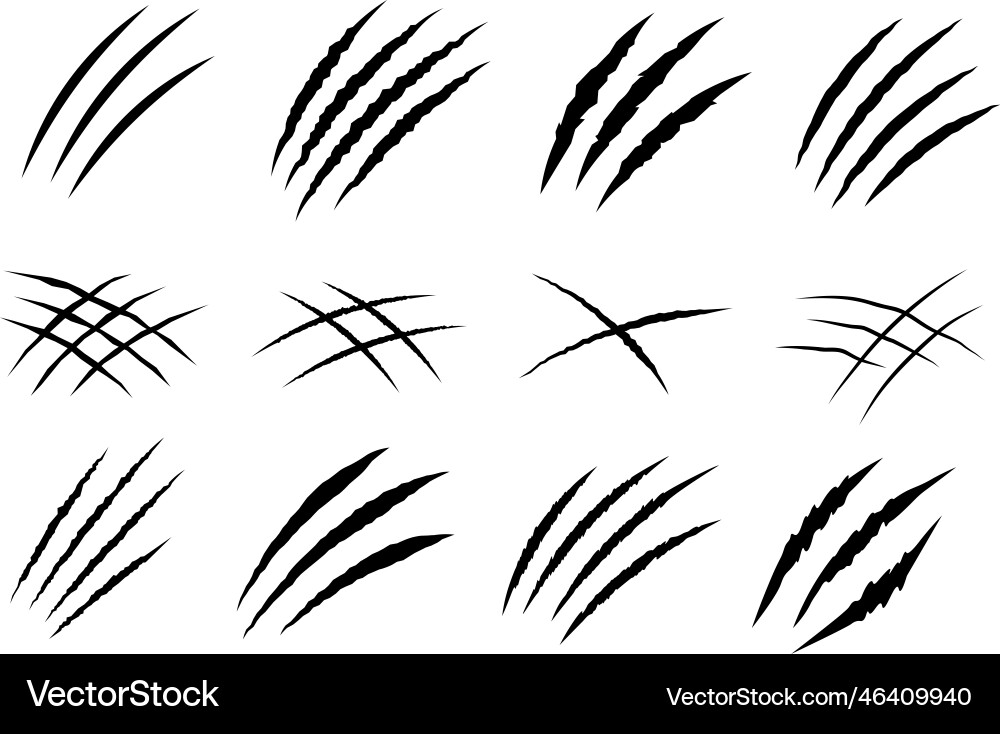 Aggressive Animal Claw Scratches vector image