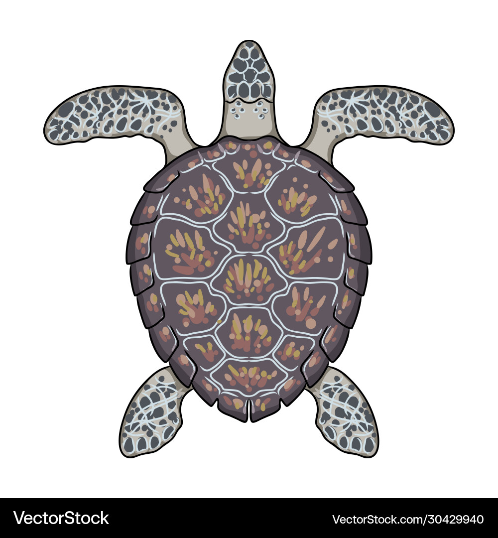 Cartoon Turtle Icon - Cute Sea Turtle Vector Image