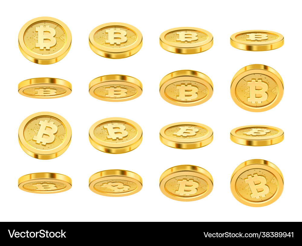 Bitcoin realistic icon in different positions Bitcoin realistic icon in different positions vector image