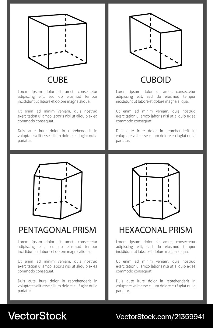 Cube and cuboid pentagonal hexagonal prisms vector image