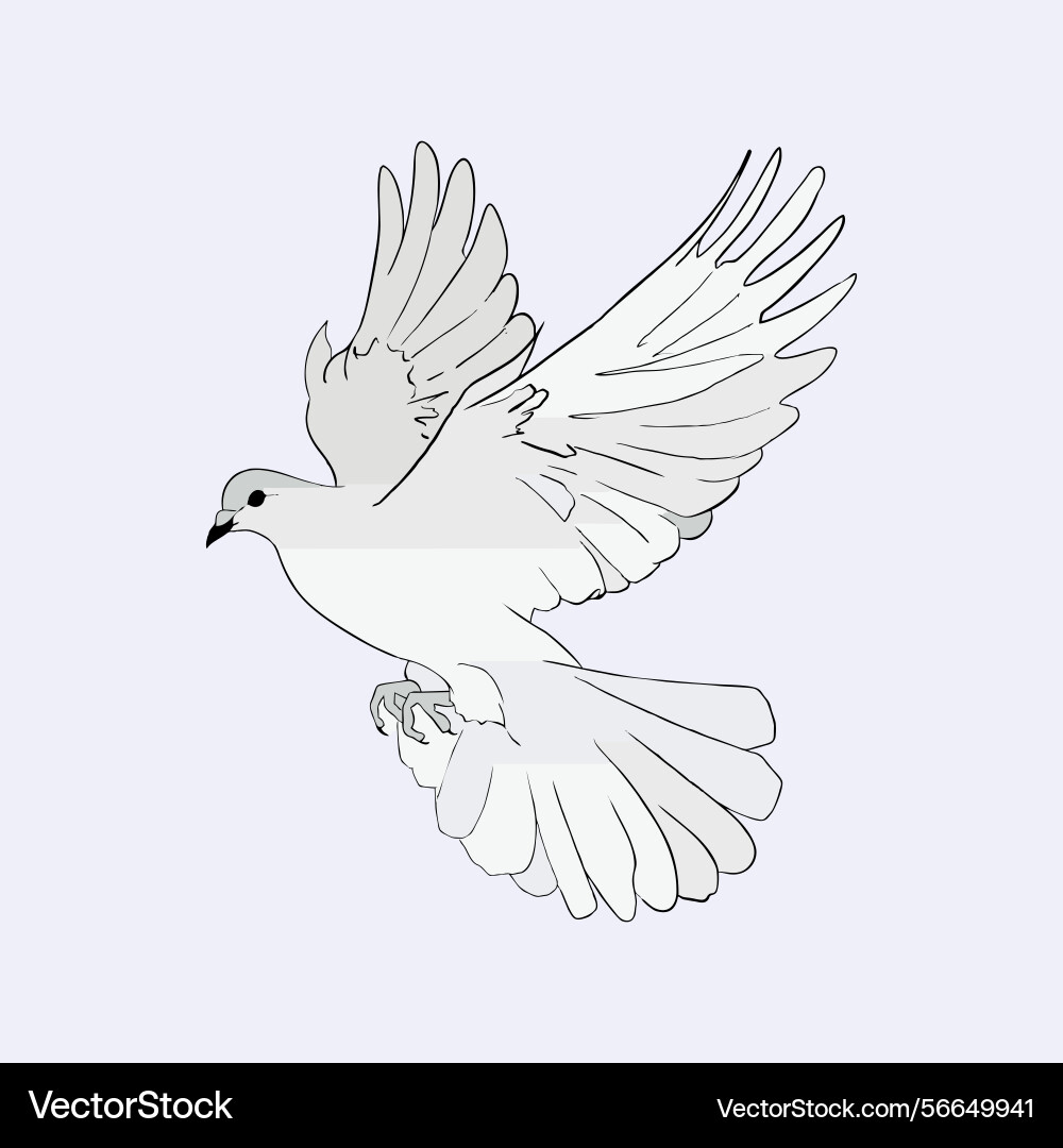 Dove of peace Vector Image