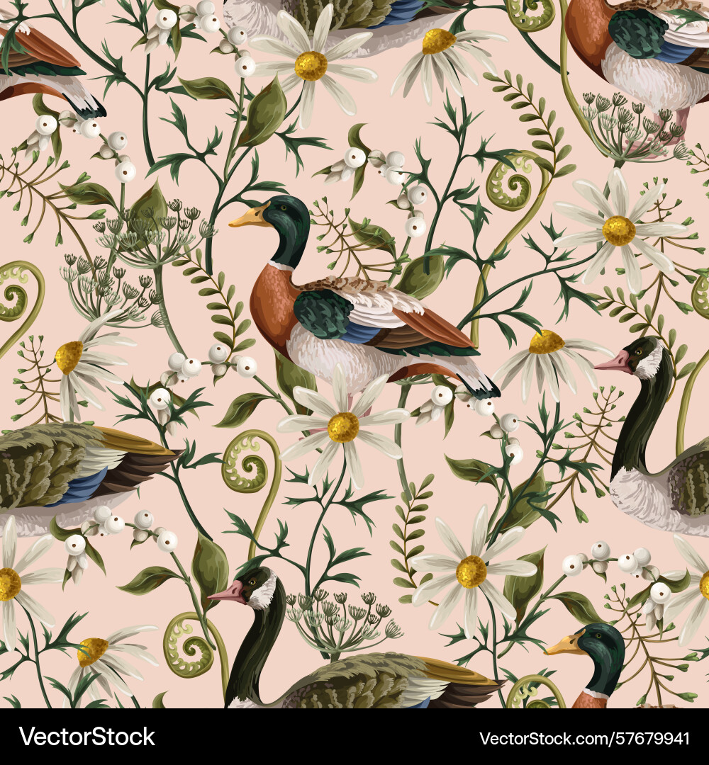 Seamless pattern with ducks chamomile fern Vector Image