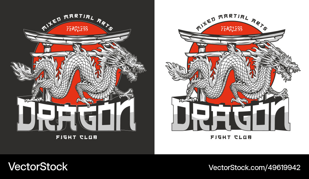 Dragon fight club colorful poster vector image