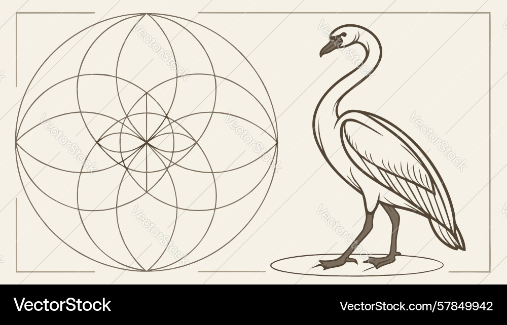 Geometric pattern with elegant swan abstract Vector Image