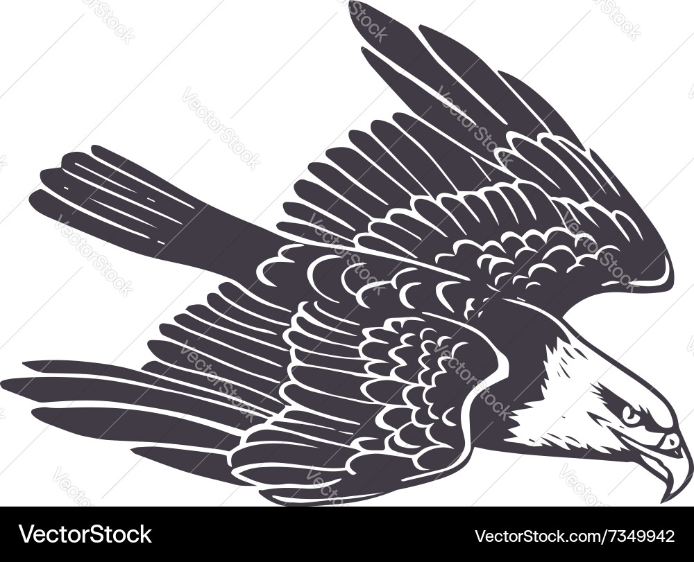 Hand drawn eagle Royalty Free Vector Image - VectorStock