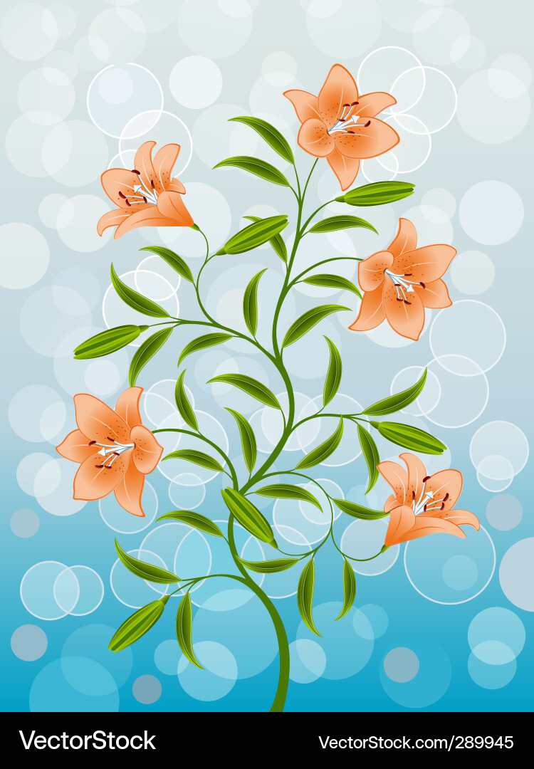 Elegant Lily Pattern vector image