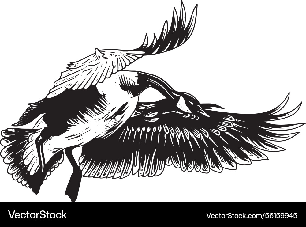 Kanadische Gans Ente Jagd Logo vect vektorbild