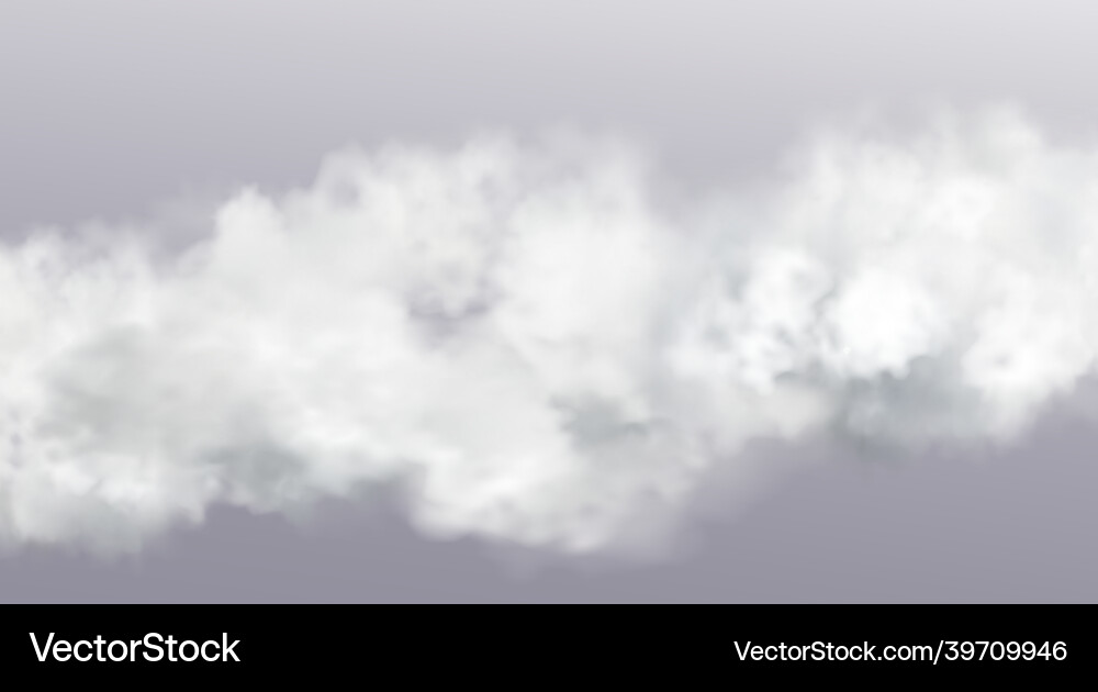 Abstract realistic fog cloud design element vector image