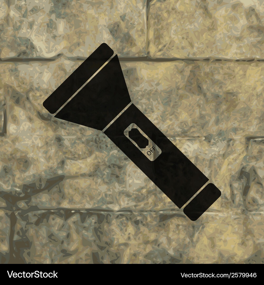 Flashlight flat modern web button and space Vector Image