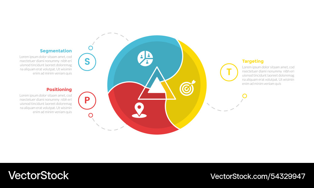 Stp marketing analysis infographics template Stp marketing analysis infographics template vector image