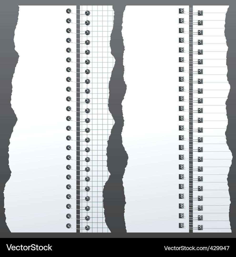 Torn Notebook Pages vector image