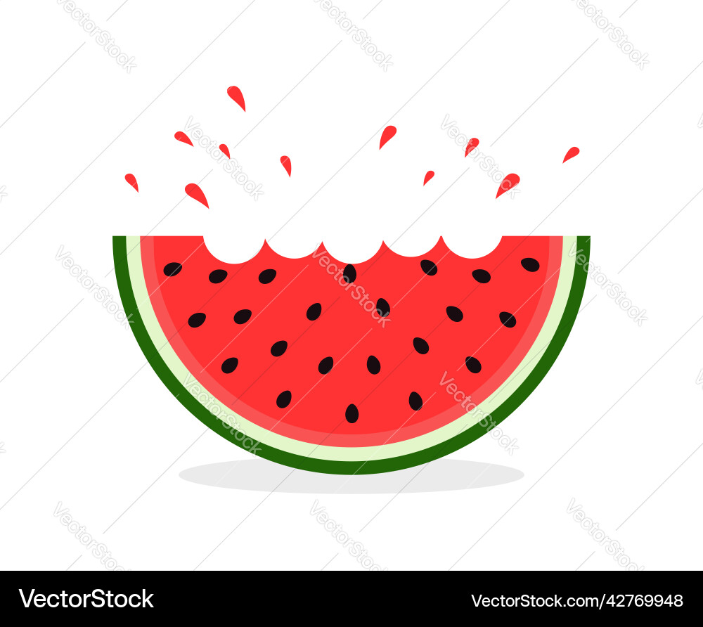 Watermelon Slice with Bite Icon Vector Image