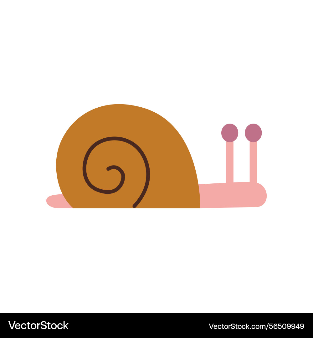 Cute snail with simple round shell isolated Vector Image