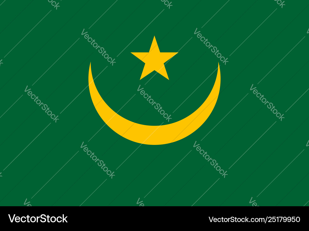 Flag rectangular shape Vector Image