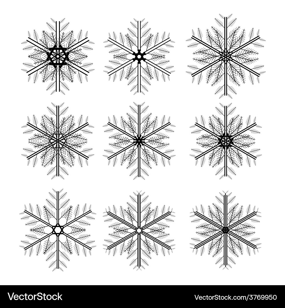Snowflake Icon Set - Winter Pattern Vector Image
