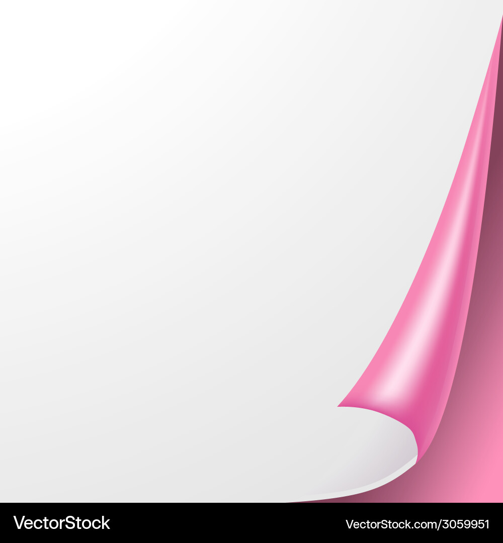 Blank sheet of paper with page curl and shadow Vector Image