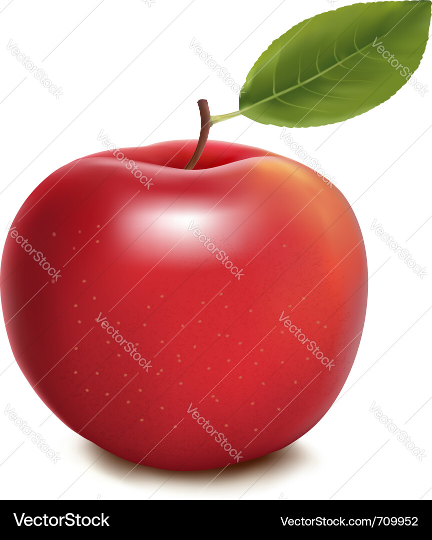 Red apple Royalty Free Vector Image - VectorStock