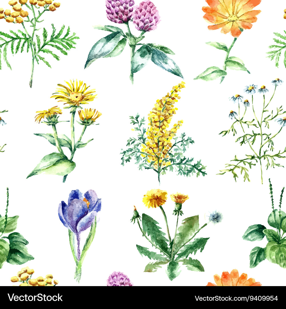 Collection of hand drawn medical herbs and plants Vector Image