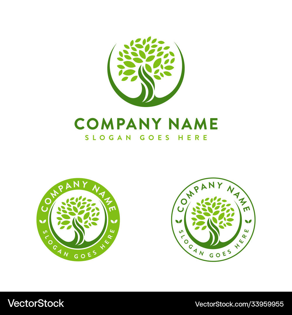 Elegant Oak Tree Logo Vector Image