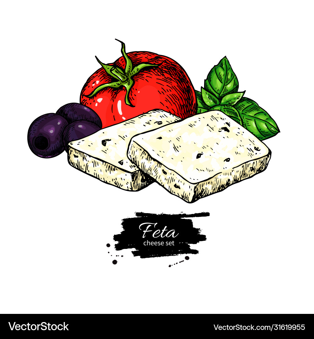 Greek feta cheese block slice drawing hand Greek feta cheese block slice drawing hand vector image