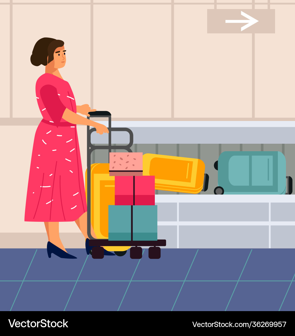 Gepäck Anspruch Cartoon Frau in Flughafenreisende Gepäck Anspruch Cartoon Frau in Flughafenreisende vektorbild