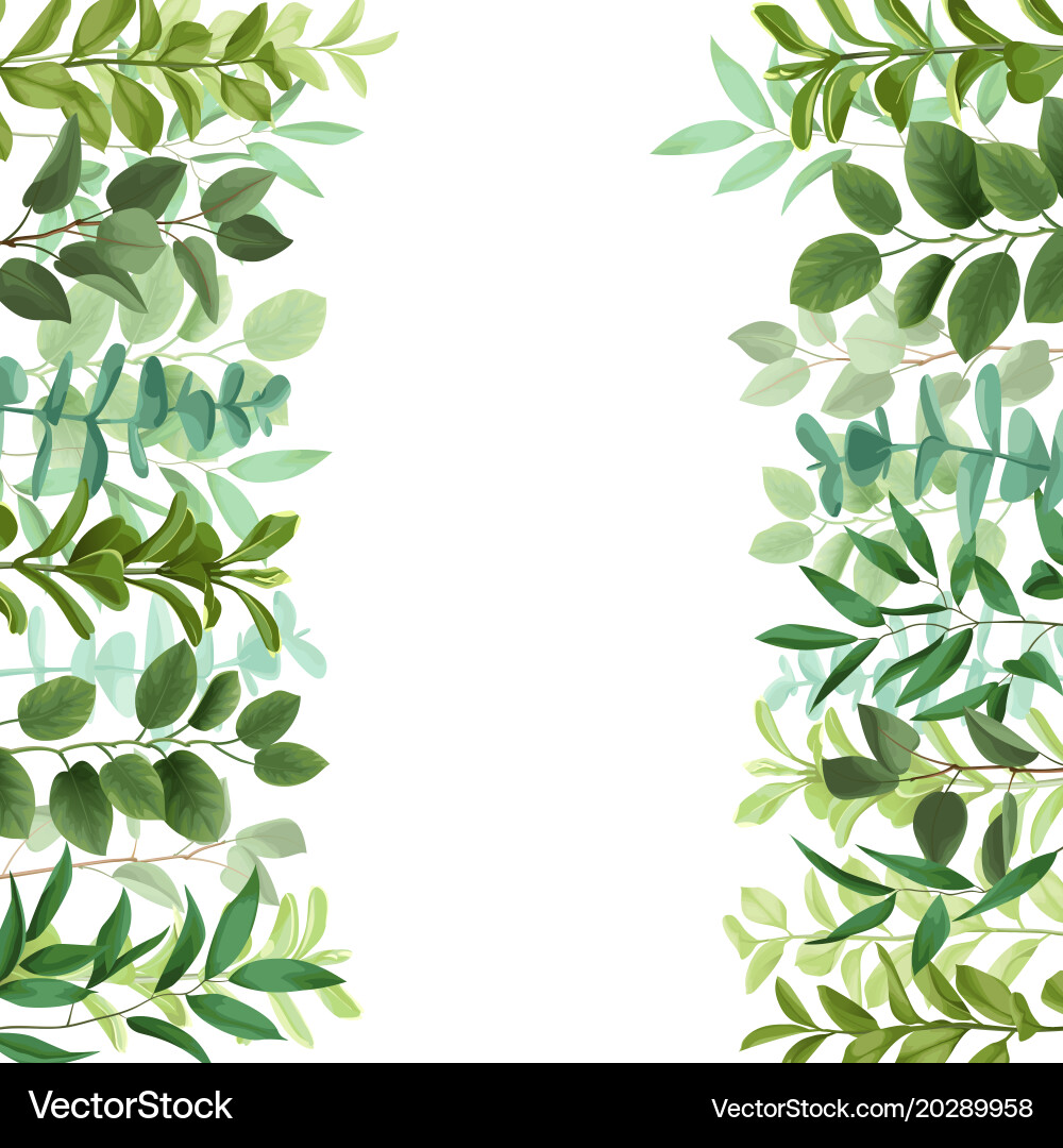 Greenery Botanical Border Vector Image