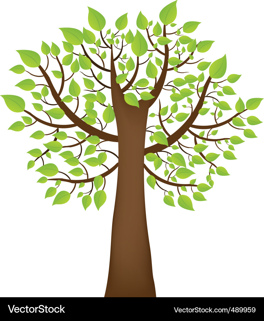 Күзгі ағаш суреті. Грушевое дерево. Грушевое дерево на белом фоне. Фруктовые деревья на прозрачном фоне. Груша дерево вектор.