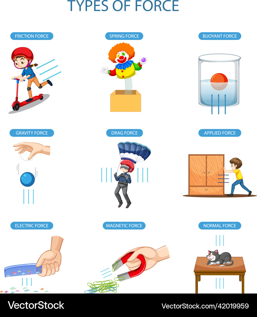 Types of Force - Physics Diagram vector image