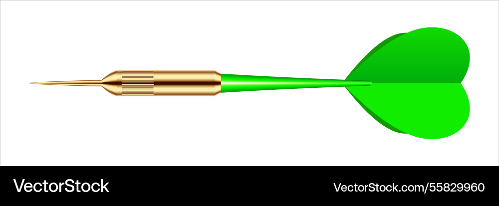 Dart arrow with metal tip and shadow Dart arrow with metal tip and shadow vector image