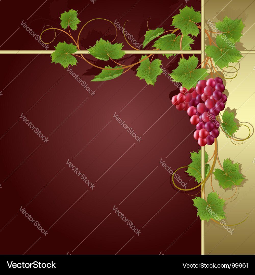 Elegant Vine Scroll Banner Vector Image