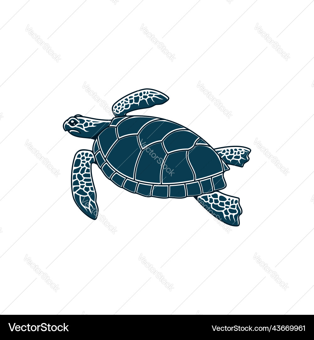 Loggerhead Sea Turtle Icon vector image