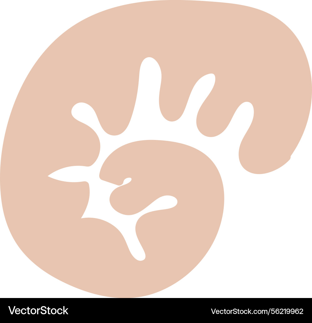 Abstract nautilus shell shape vector image