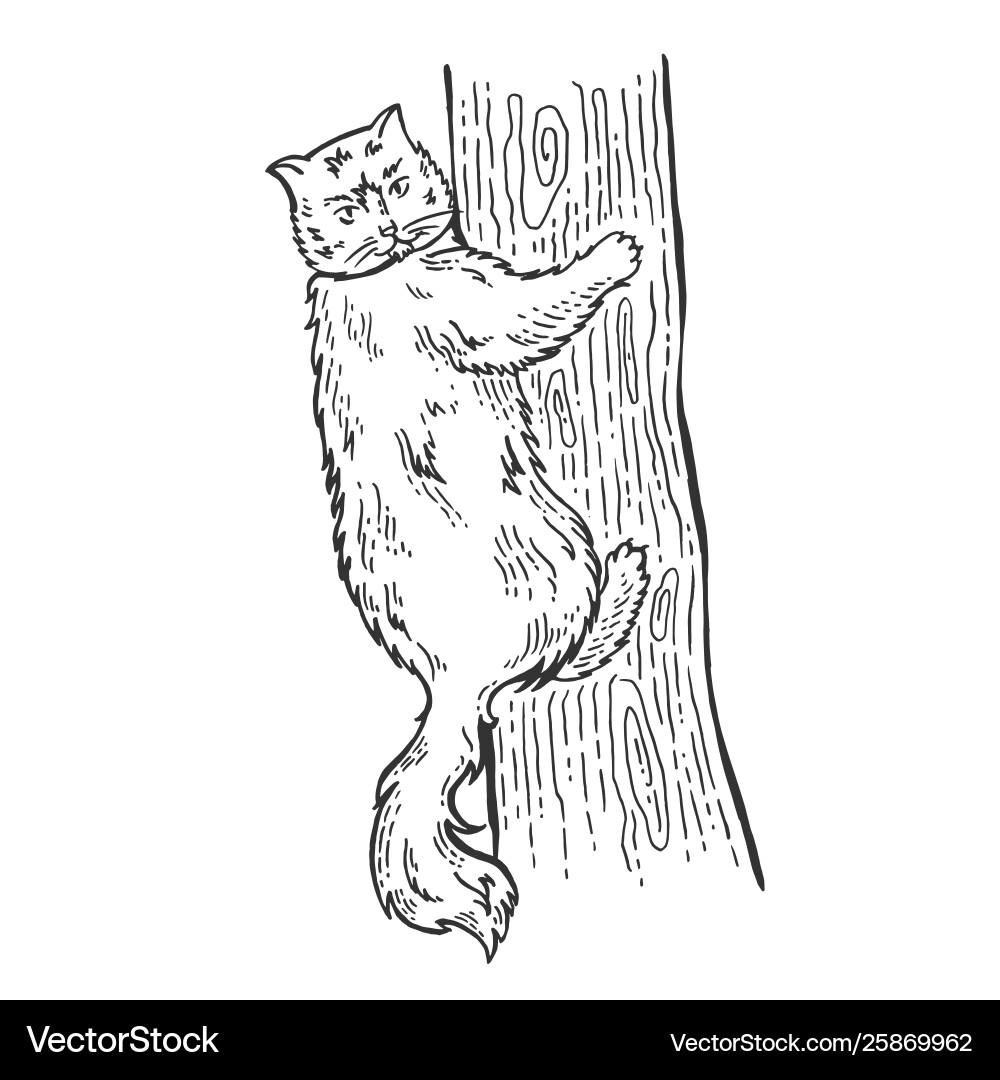 Cat on Tree Sketch - Scratch Board Style vector image
