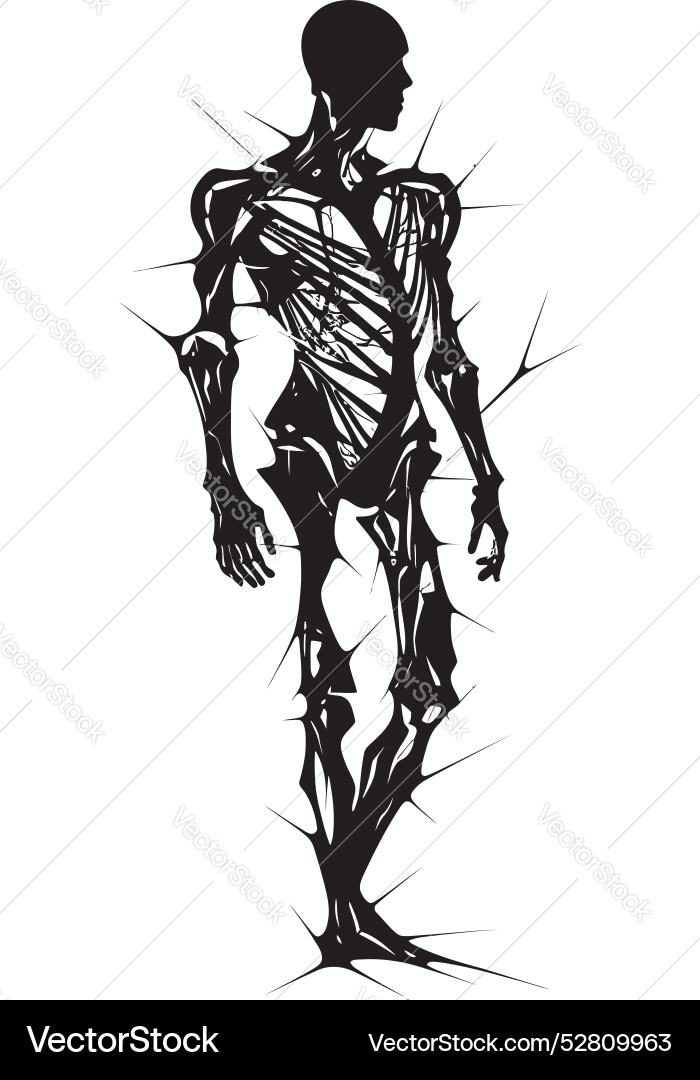 Broken bones fractured skeleton symbol fracture Vector Image
