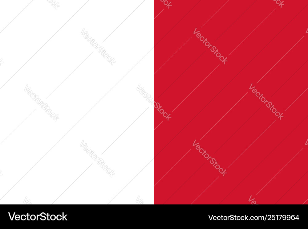 Flag rectangular shape Flag rectangular shape vector image