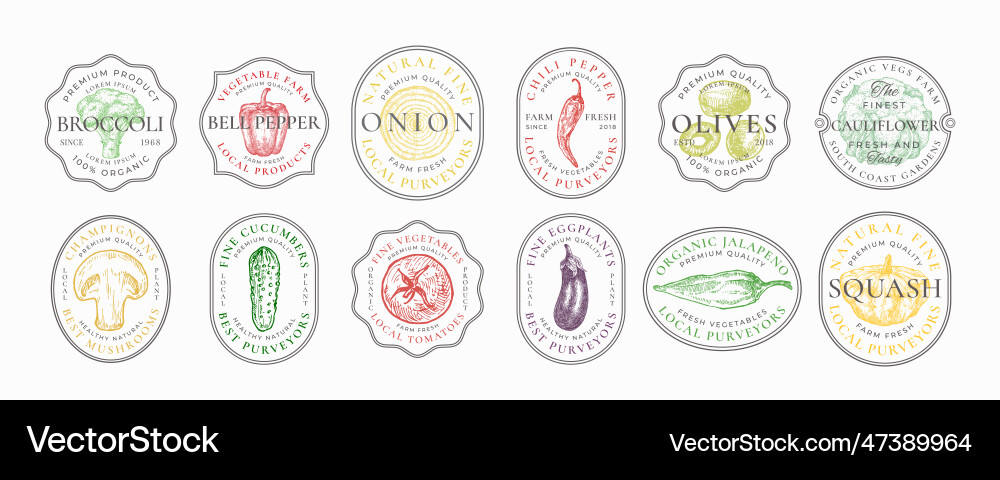 Vegetables frame badges logo templates collection Vegetables frame badges logo templates collection vector image