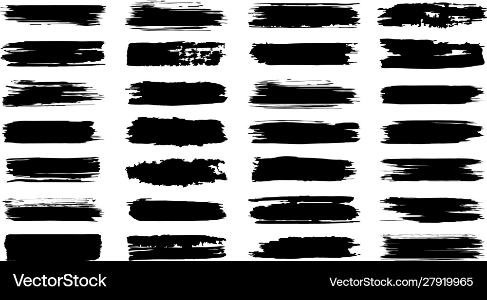Paint Strokes & Grunge Brushes vector image
