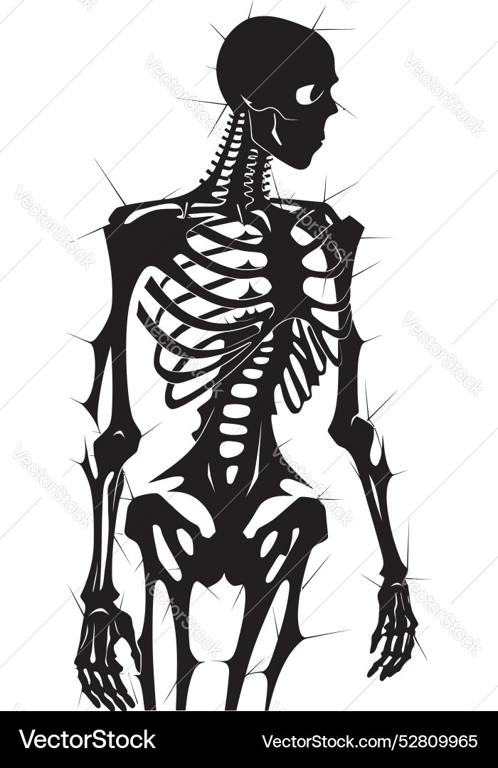Split spine fractured skeleton icon fragmented Split spine fractured skeleton icon fragmented Vector Image