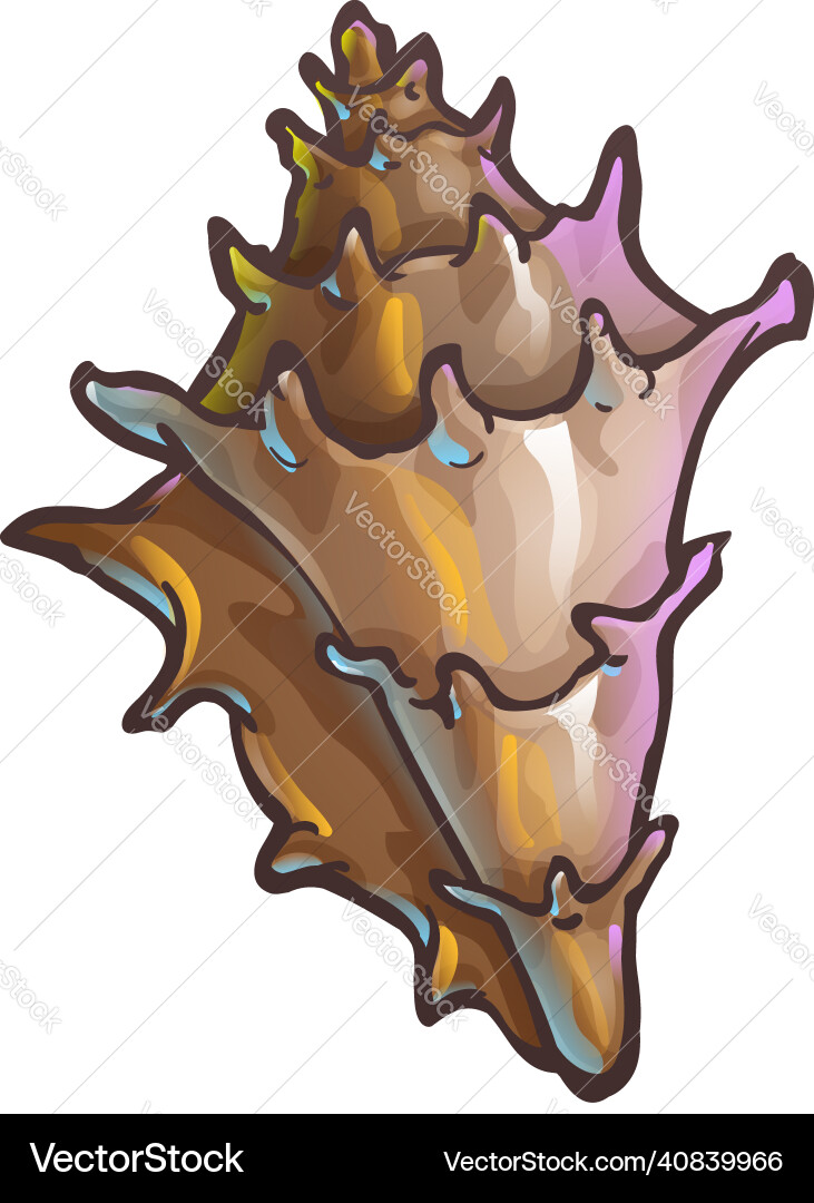 Decorated spiral shape seashell conus with edges Decorated spiral shape seashell conus with edges Vector Image