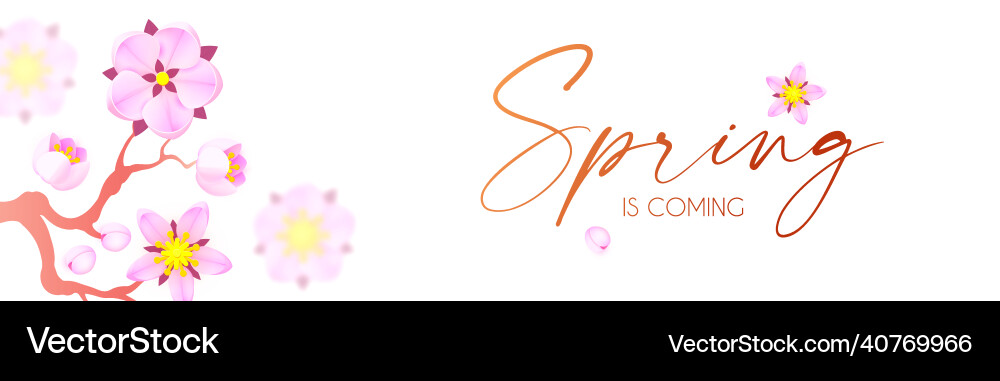 Spring is coming cute flower design apple tree Spring is coming cute flower design apple tree vector image